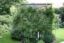 Rosentempel1018.JPG
