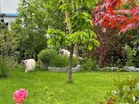 IMG_8939.webp