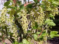 DSCN4726.webp