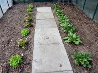 DSCN4729.webp