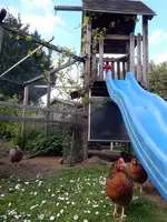 DSCN4733.webp