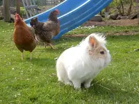DSCN4735.webp