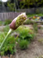 IMG_20230507_160803.webp