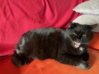 IMG_2209.jpeg