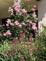 848F3012-AC0F-4842-B309-982ECBE4EC0D.jpeg