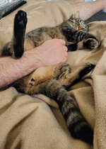 20230507_152341.jpg