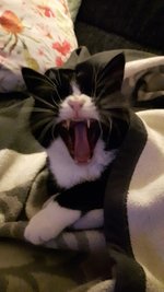 IMG_0050.jpeg
