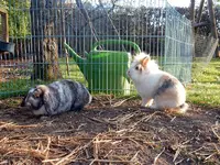 DSCN4746.webp