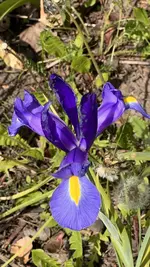 IMG_5829.jpeg