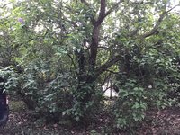 94224DF0-AA4A-4956-96F1-8F5D6318FE50.jpeg