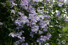 Cl.vit.Emilia Plater0516.JPG