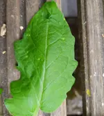 IMG_20230508_144938.jpg