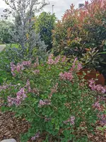 IMG_20230508_094225.webp
