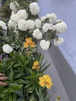 D9967058-07F8-42FE-9F57-222531F5A77D.jpeg