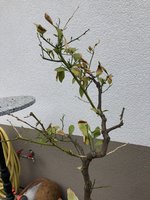 AB980B6B-19DA-4AF7-B310-1FD4CB2631A6.jpeg