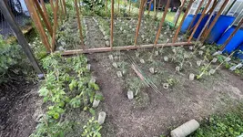 IMG_5836.jpeg