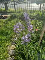 20230508_075505.webp