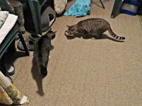 IMG_7789 v (2).JPG
