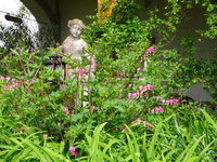 DSC02900.JPG
