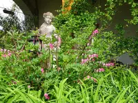 DSC02900.JPG