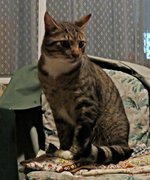 IMG_8917 v (2).JPG