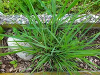 IMG_20230509_093550.webp
