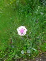 IMG_20230509_093604.webp