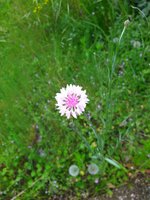 IMG_20230509_093604.jpg