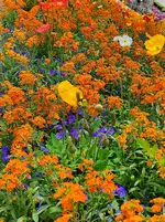 IMG_20230509_122454.webp