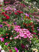 IMG_20230509_122550.webp