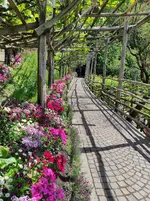 IMG_20230509_123554.webp