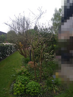 IMG_20230509_181700051.jpg