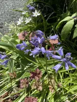D852A96C-ACEE-4479-86D2-3C0C9B189977.webp
