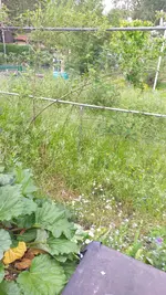 20230509_132817.webp