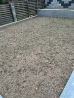 Garten1.webp