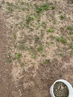 Garten2.webp