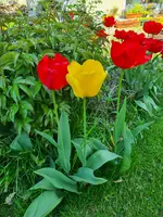 20230509_134352.webp