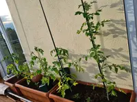 20230509_190341.webp