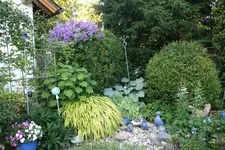 Brunnen0819.webp