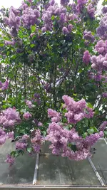 20230510_142756.webp