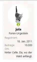 10000.webp