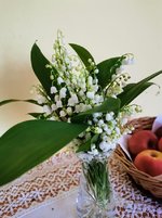 IMG_20230510_183214.jpg