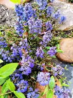 IMG_20230506_171647.webp