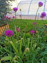 IMG_20230506_171721.webp