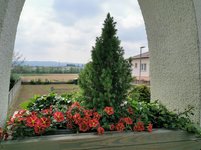 IMG_20230507_114246.jpg