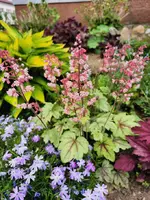 IMG_20230510_180623.webp