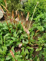 IMG_20230510_180727.webp