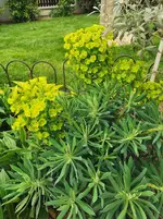 IMG_20230510_180816.webp