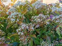IMG_20230510_082035.webp