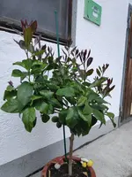 IMG_20230510_182441.webp